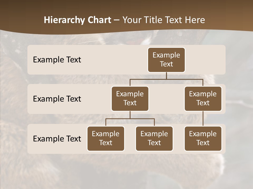 Grip Hang On Feline PowerPoint Template