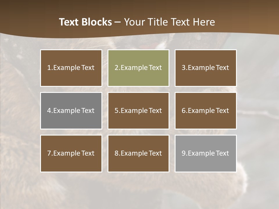 Grip Hang On Feline PowerPoint Template