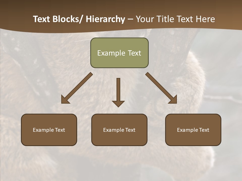 Grip Hang On Feline PowerPoint Template