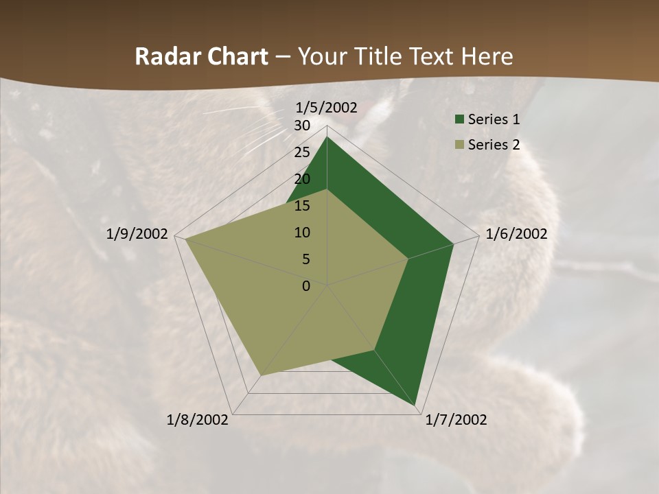 Grip Hang On Feline PowerPoint Template