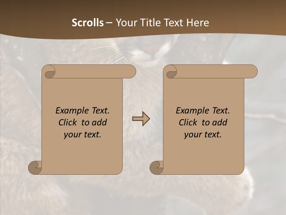 Grip Hang On Feline PowerPoint Template