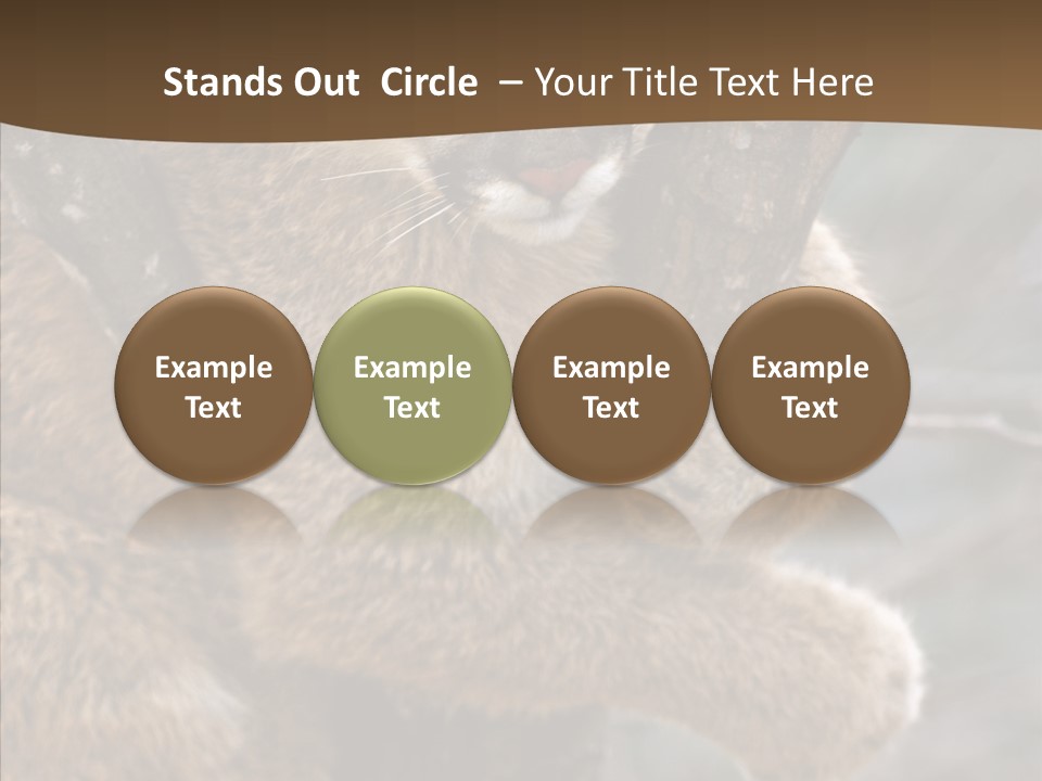 Grip Hang On Feline PowerPoint Template