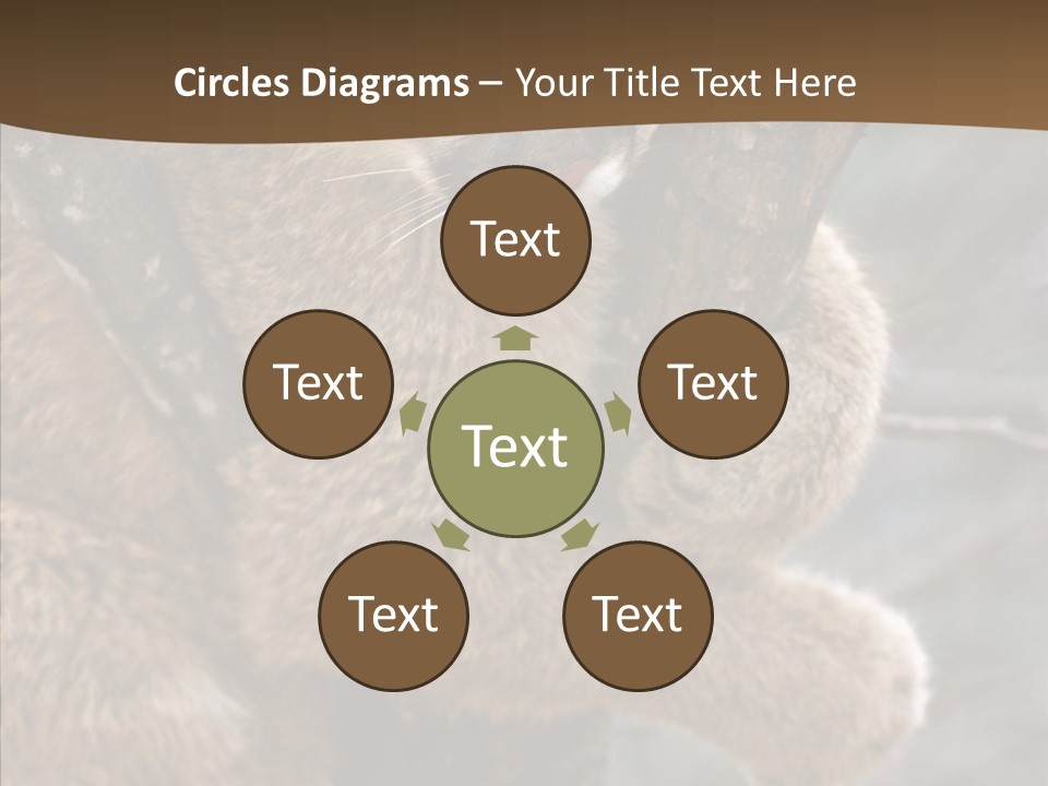 Grip Hang On Feline PowerPoint Template