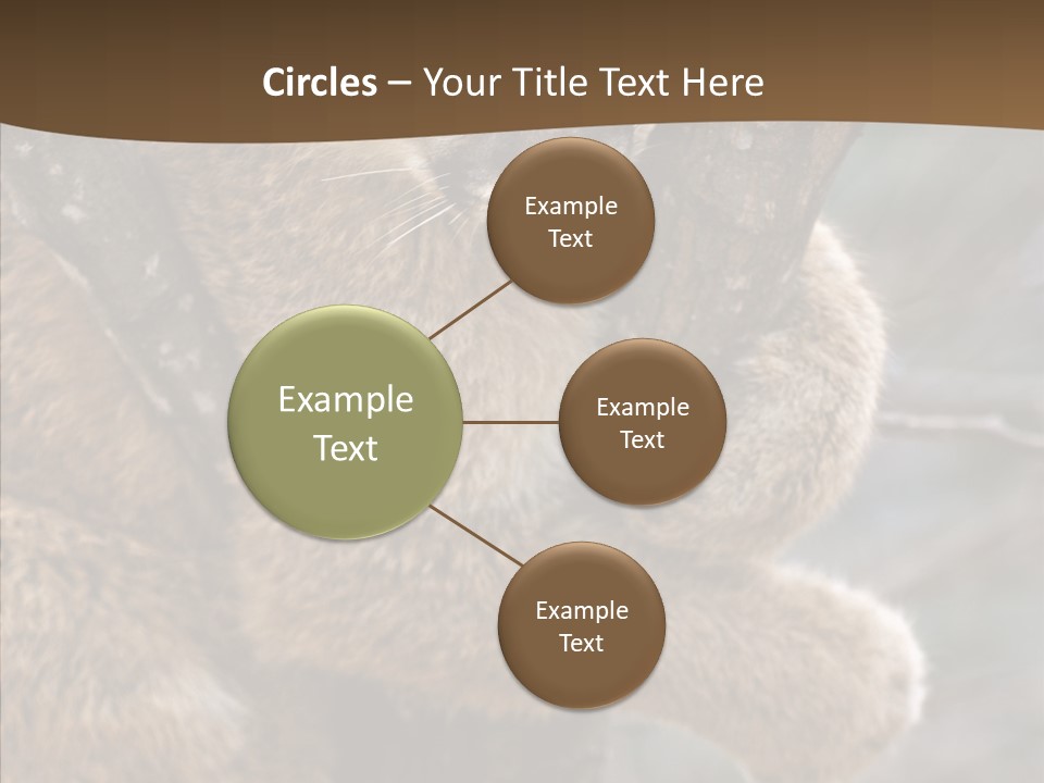 Grip Hang On Feline PowerPoint Template