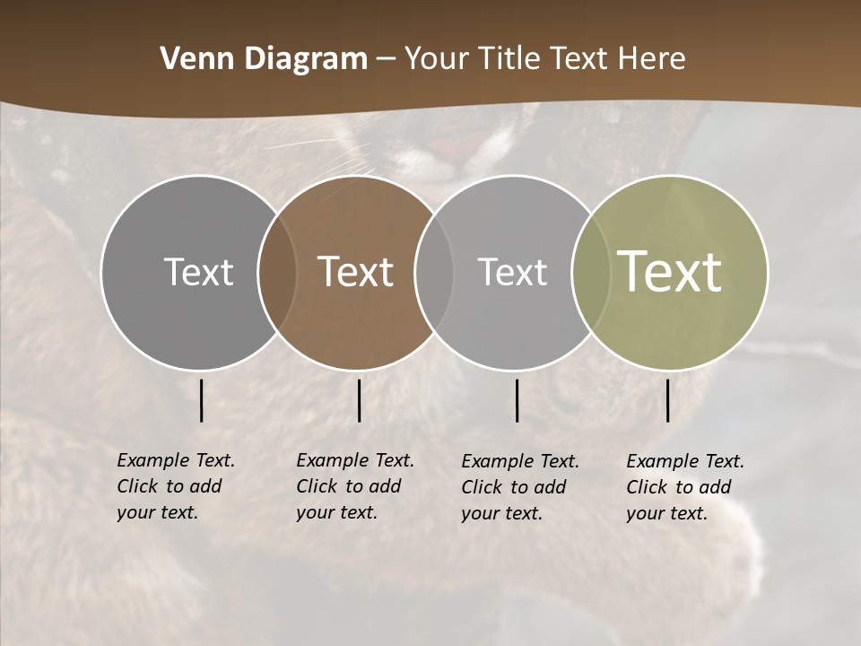 Grip Hang On Feline PowerPoint Template