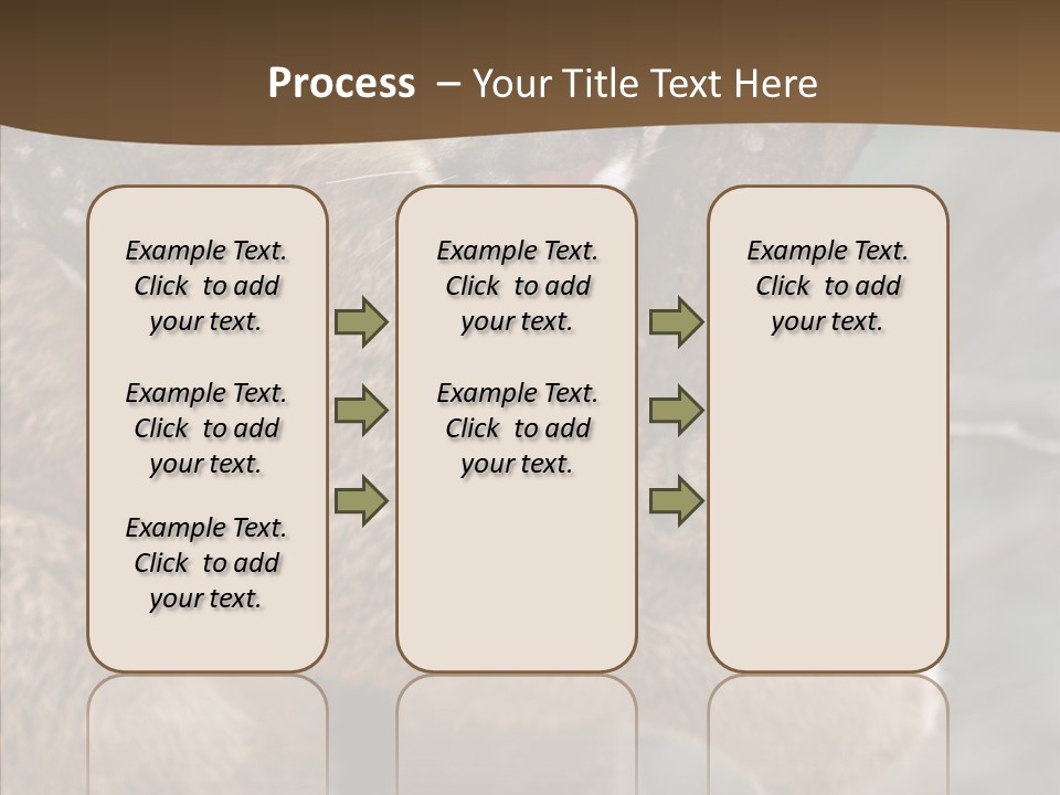Grip Hang On Feline PowerPoint Template