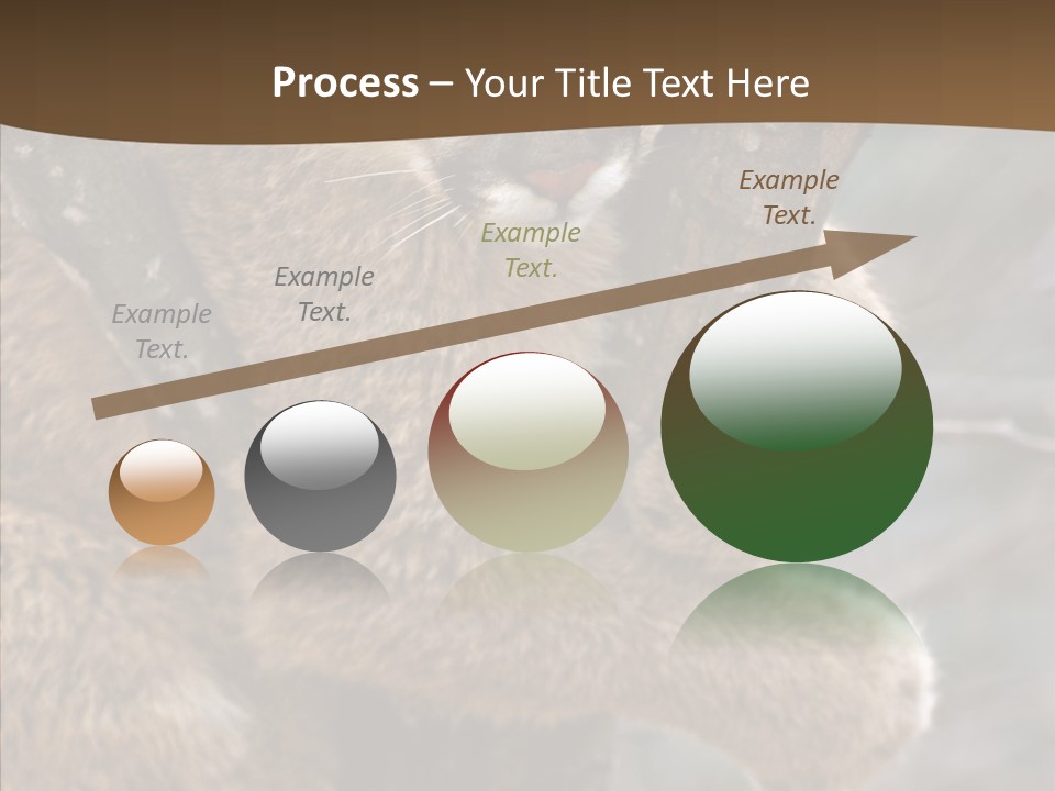 Grip Hang On Feline PowerPoint Template