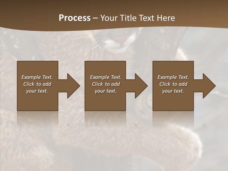Grip Hang On Feline PowerPoint Template