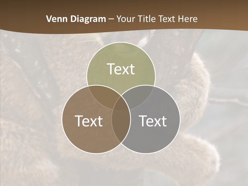 Grip Hang On Feline PowerPoint Template