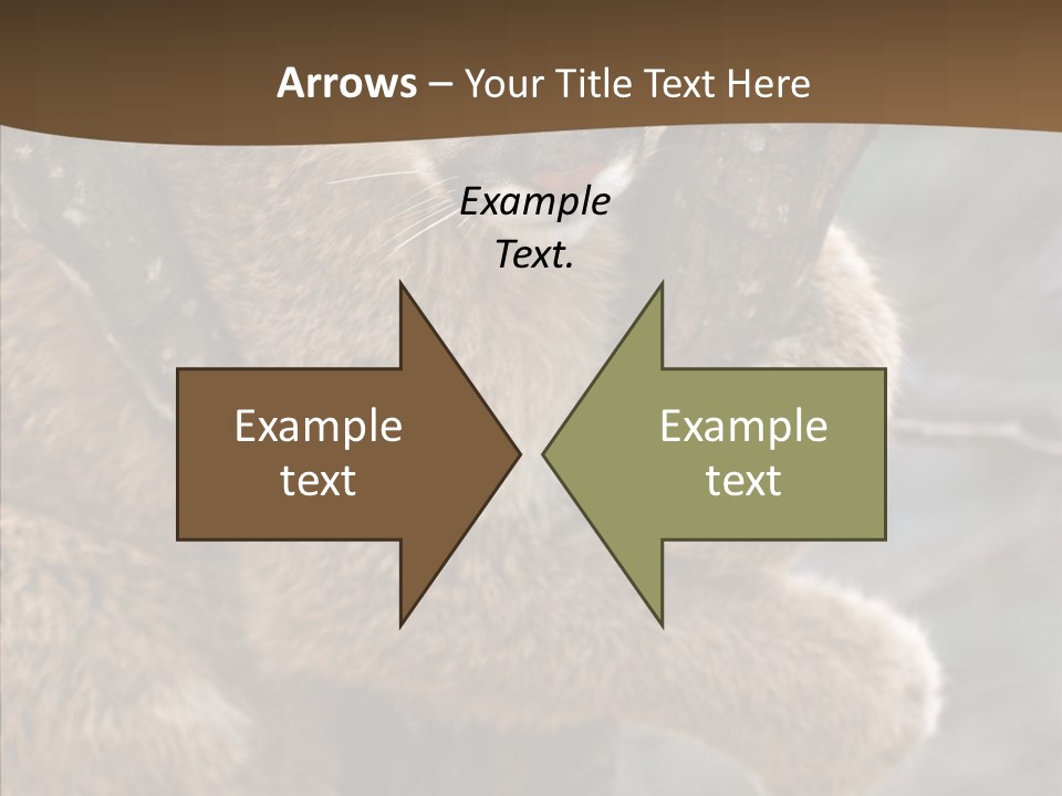 Grip Hang On Feline PowerPoint Template