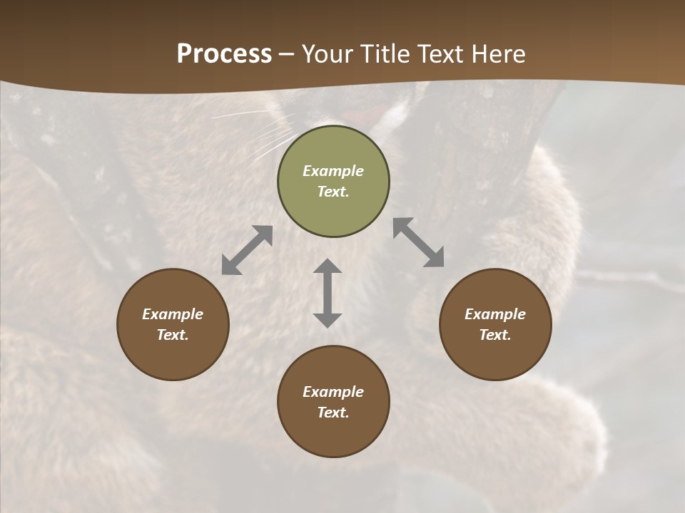 Grip Hang On Feline PowerPoint Template