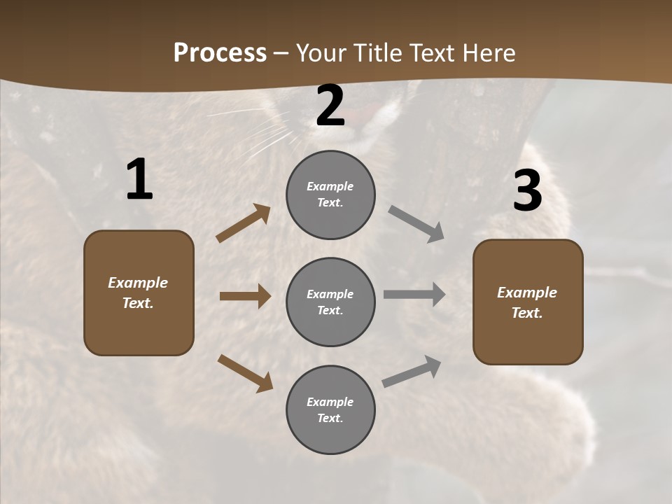 Grip Hang On Feline PowerPoint Template