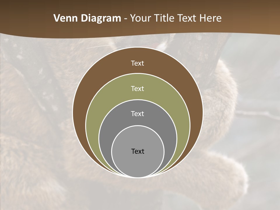 Grip Hang On Feline PowerPoint Template