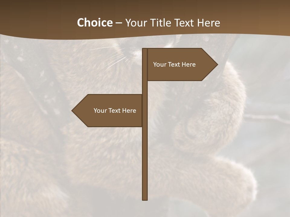 Grip Hang On Feline PowerPoint Template