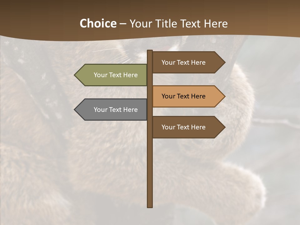 Grip Hang On Feline PowerPoint Template