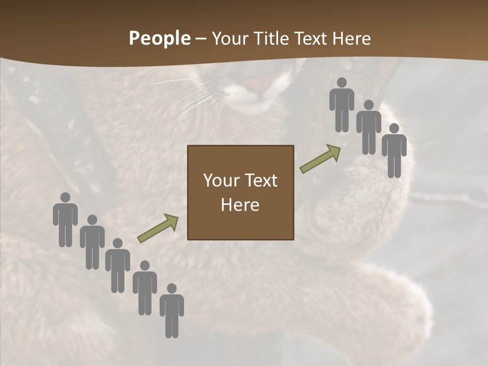 Grip Hang On Feline PowerPoint Template