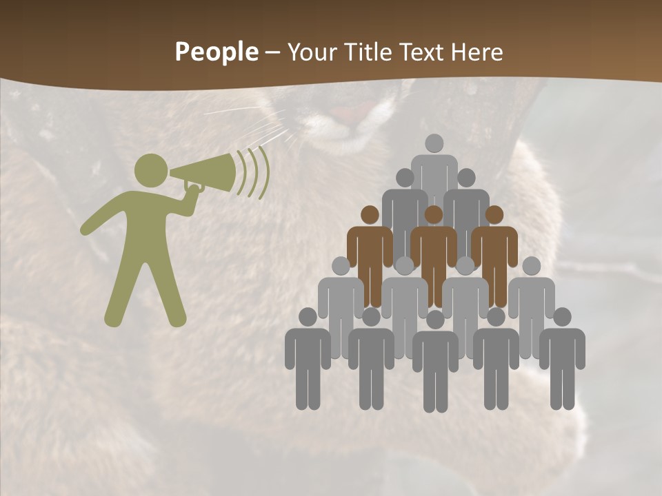 Grip Hang On Feline PowerPoint Template