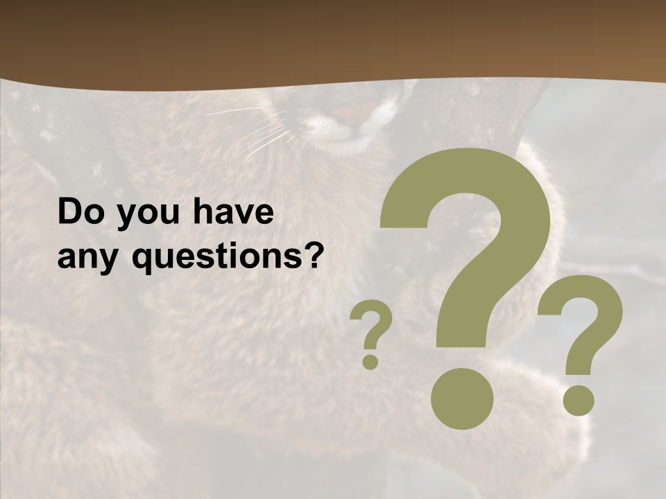 Grip Hang On Feline PowerPoint Template