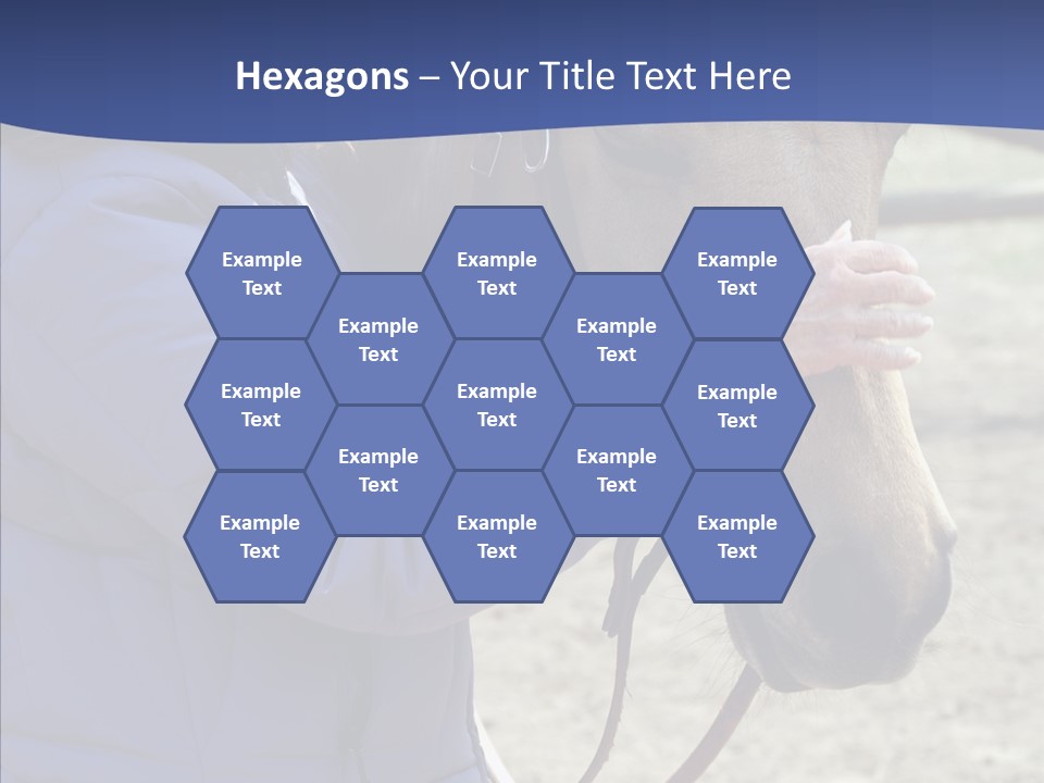 Boomer Age Horseback PowerPoint Template