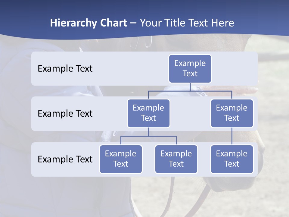 Boomer Age Horseback PowerPoint Template