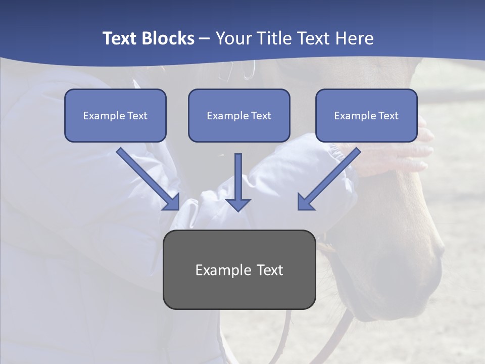 Boomer Age Horseback PowerPoint Template