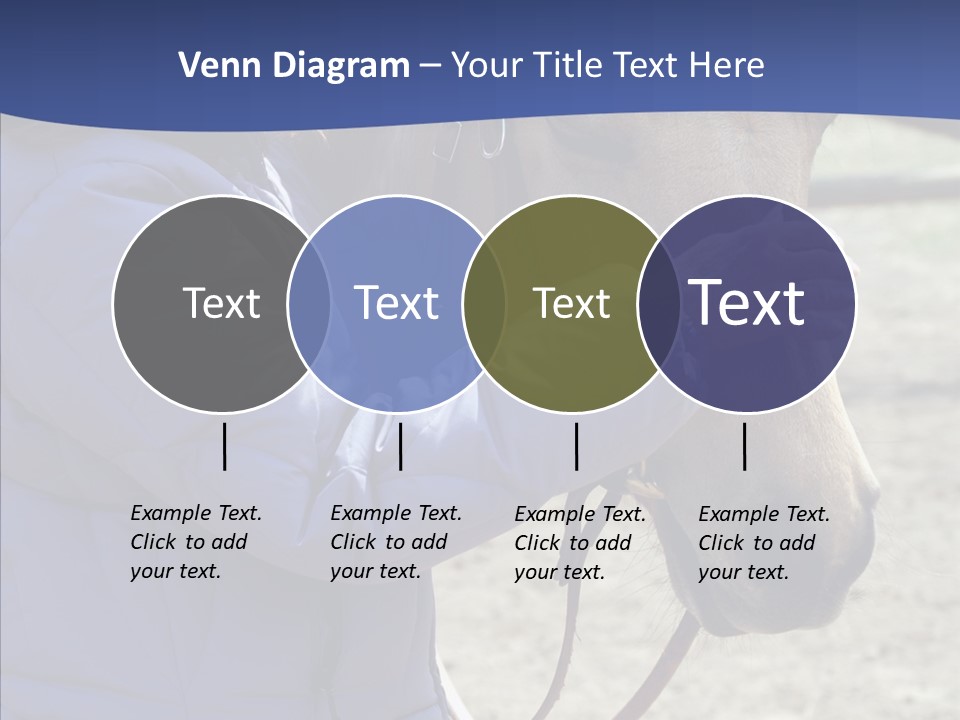 Boomer Age Horseback PowerPoint Template