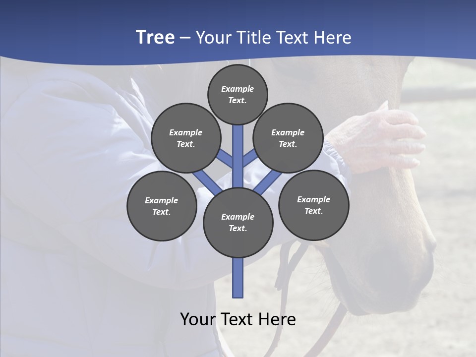 Boomer Age Horseback PowerPoint Template