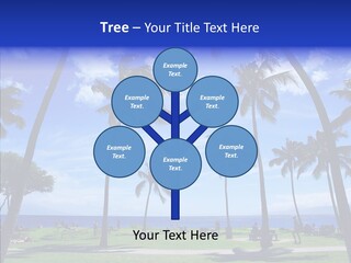 Sky Green Day PowerPoint Template
