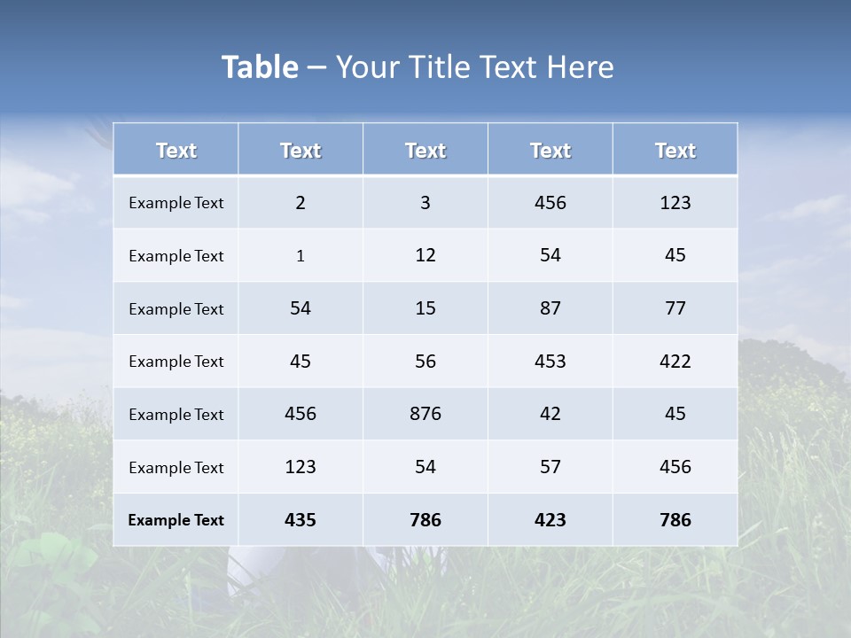 Room Bu Ine Company PowerPoint Template