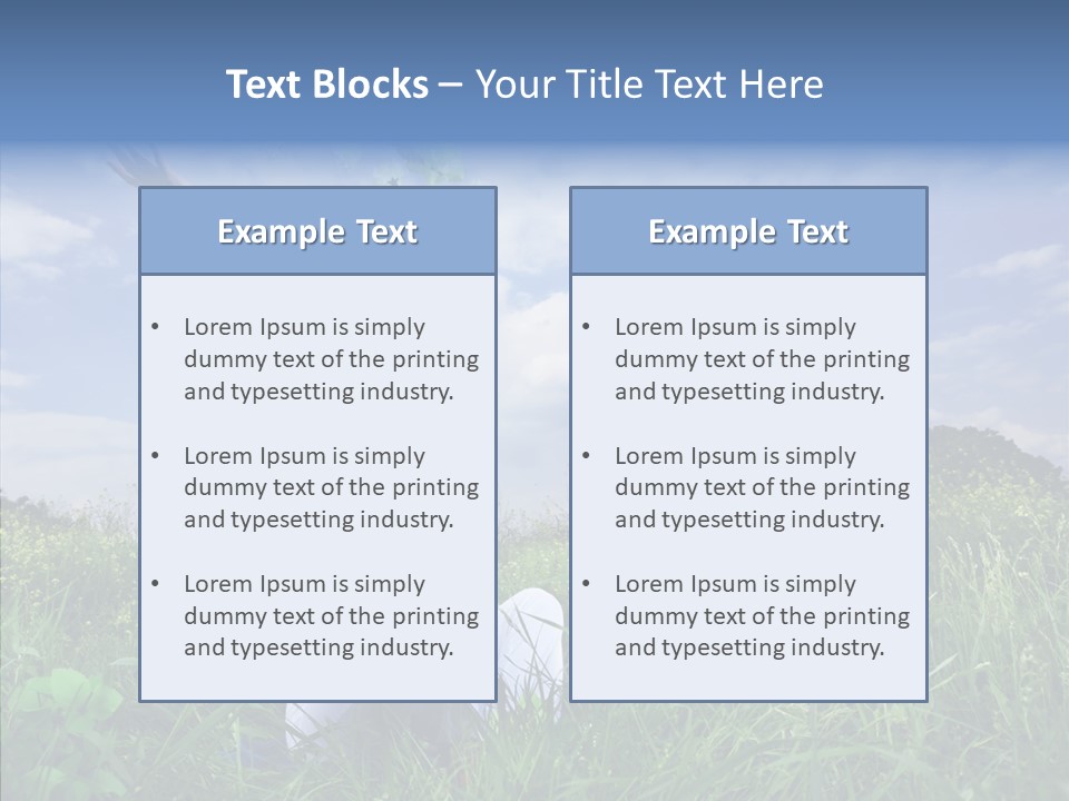 Room Bu Ine Company PowerPoint Template