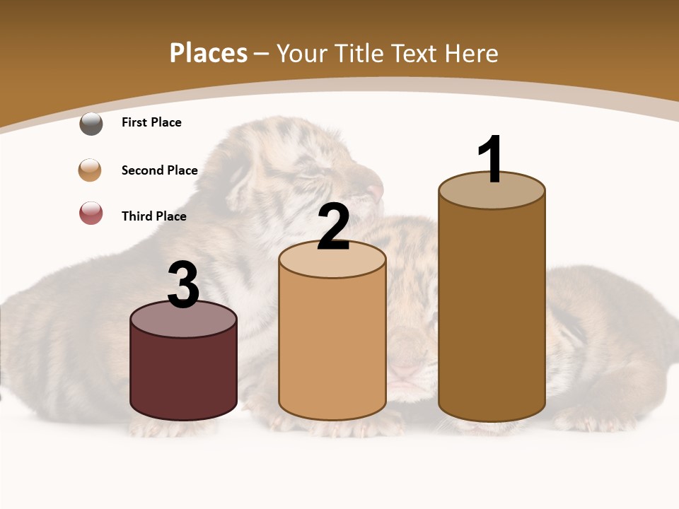 Big Fur Cat PowerPoint Template