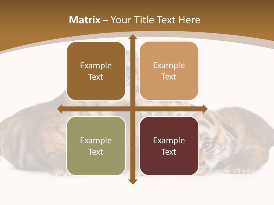 Big Fur Cat PowerPoint Template