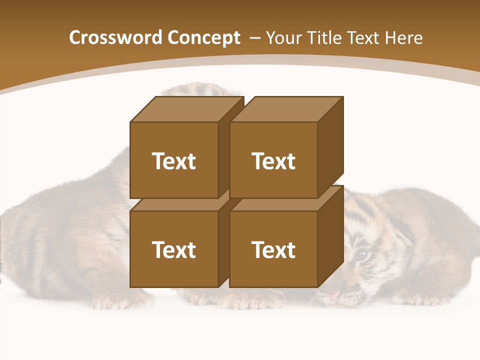 Big Fur Cat PowerPoint Template