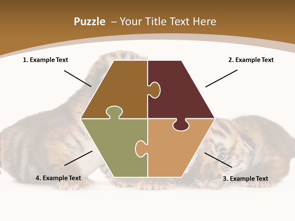 Big Fur Cat PowerPoint Template