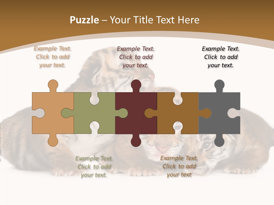 Big Fur Cat PowerPoint Template