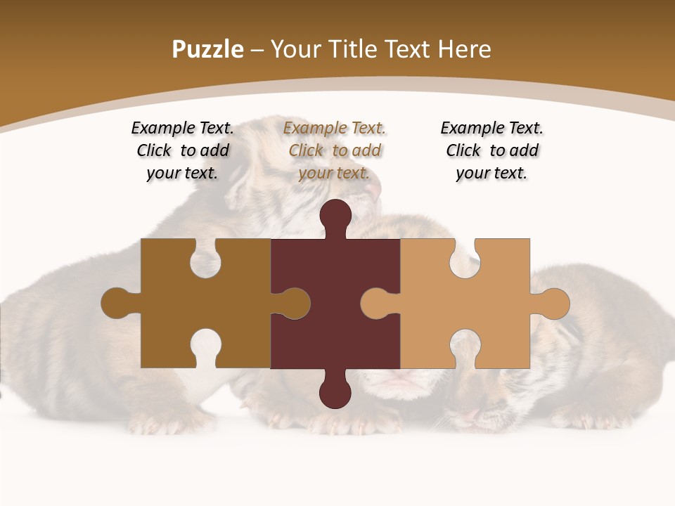 Big Fur Cat PowerPoint Template