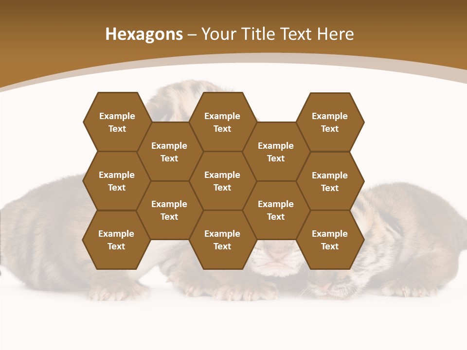 Big Fur Cat PowerPoint Template