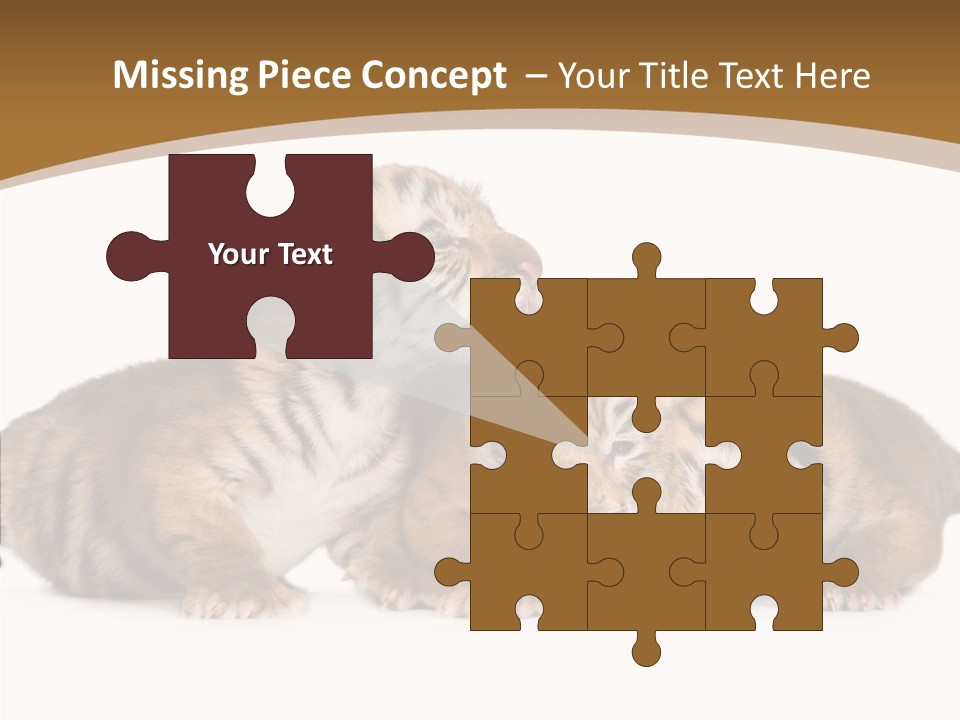 Big Fur Cat PowerPoint Template