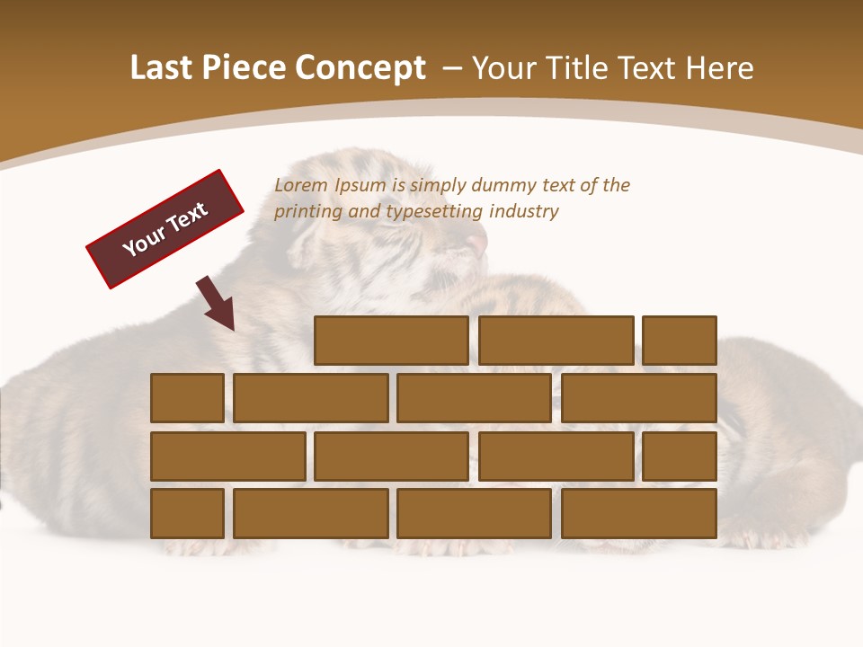 Big Fur Cat PowerPoint Template