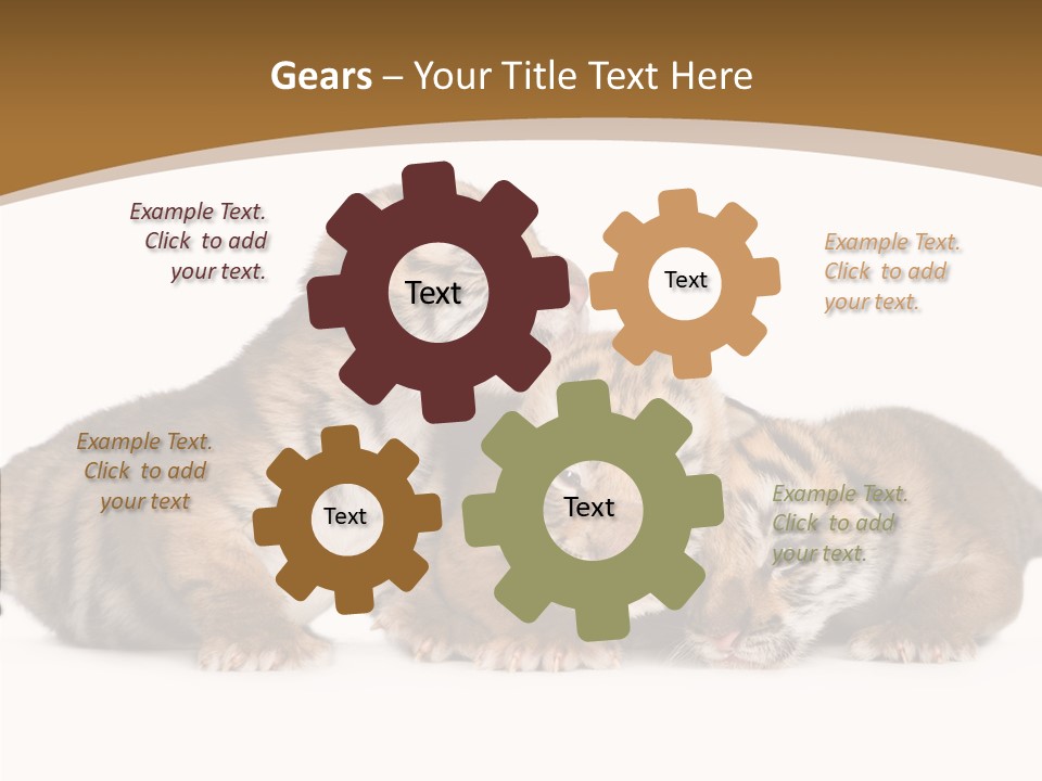 Big Fur Cat PowerPoint Template