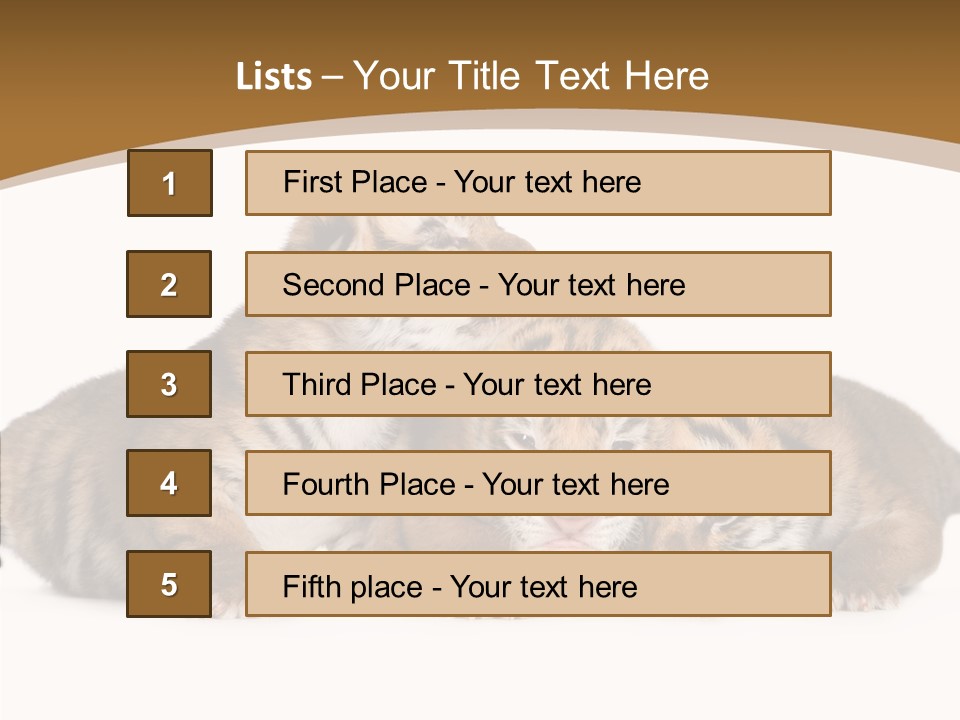 Big Fur Cat PowerPoint Template