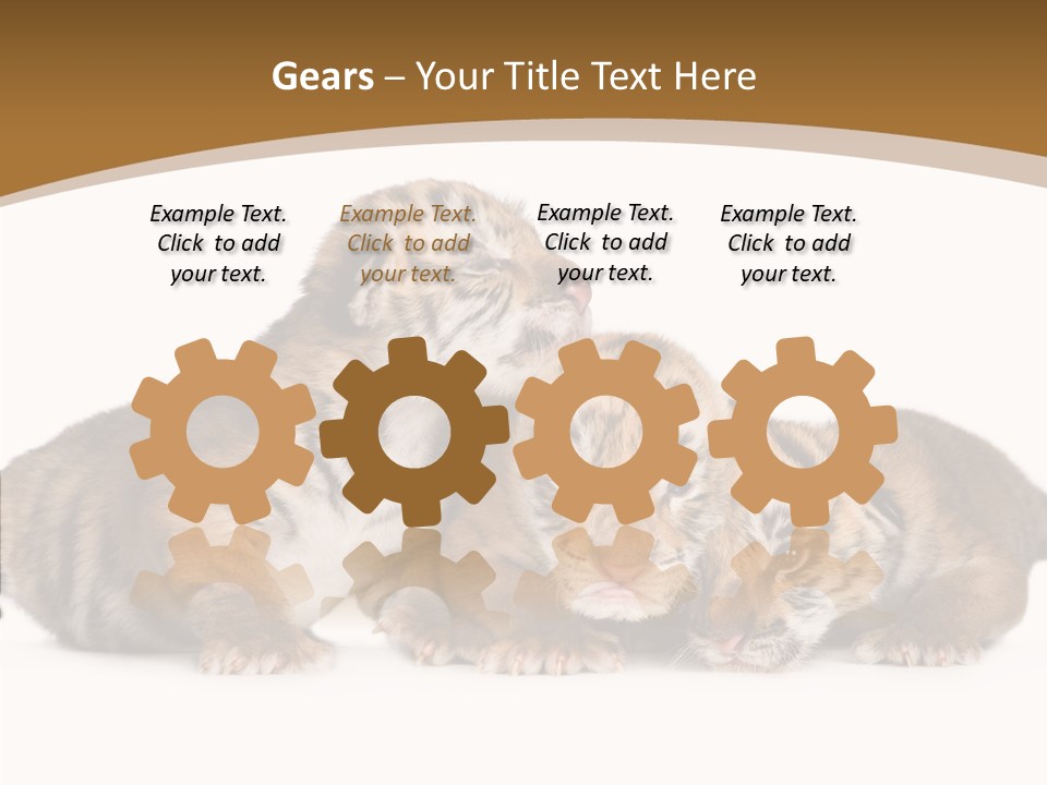 Big Fur Cat PowerPoint Template