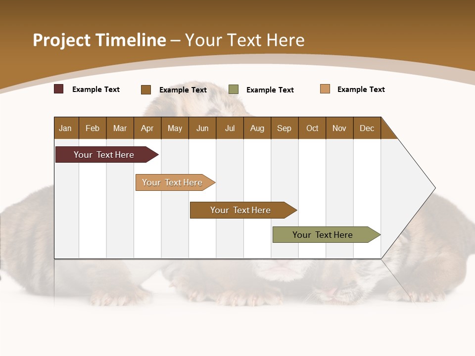 Big Fur Cat PowerPoint Template