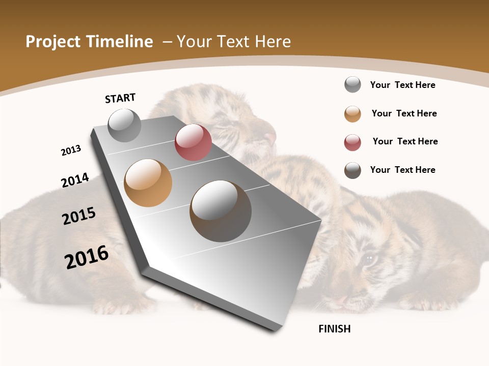 Big Fur Cat PowerPoint Template