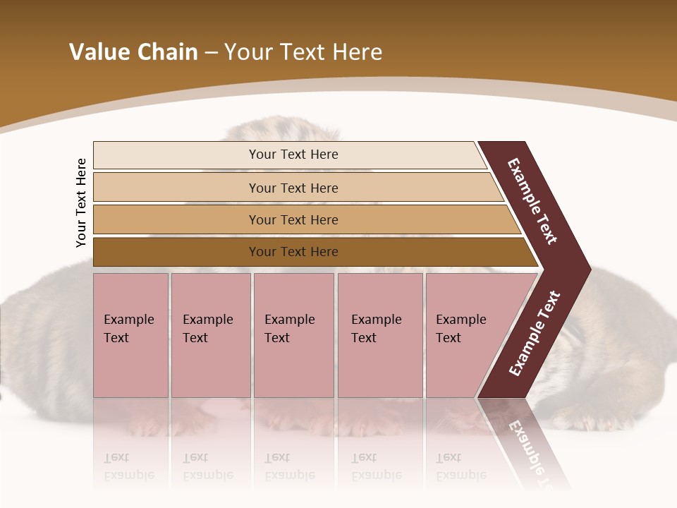 Big Fur Cat PowerPoint Template