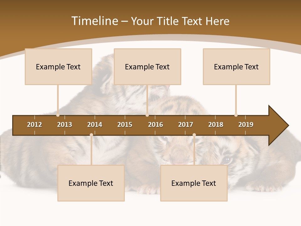 Big Fur Cat PowerPoint Template