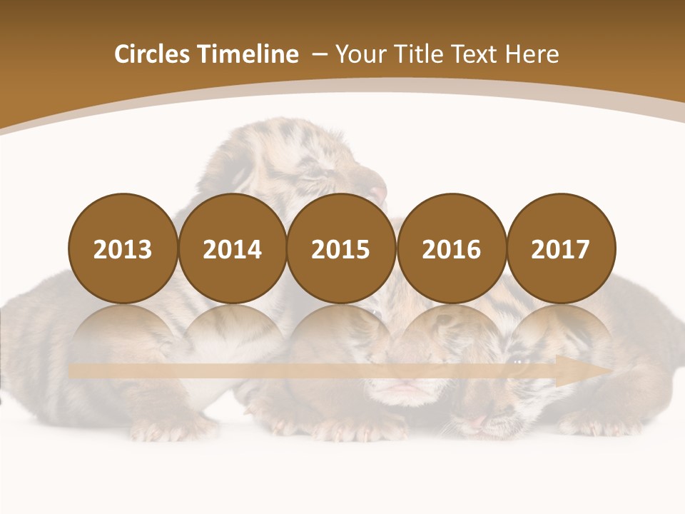 Big Fur Cat PowerPoint Template