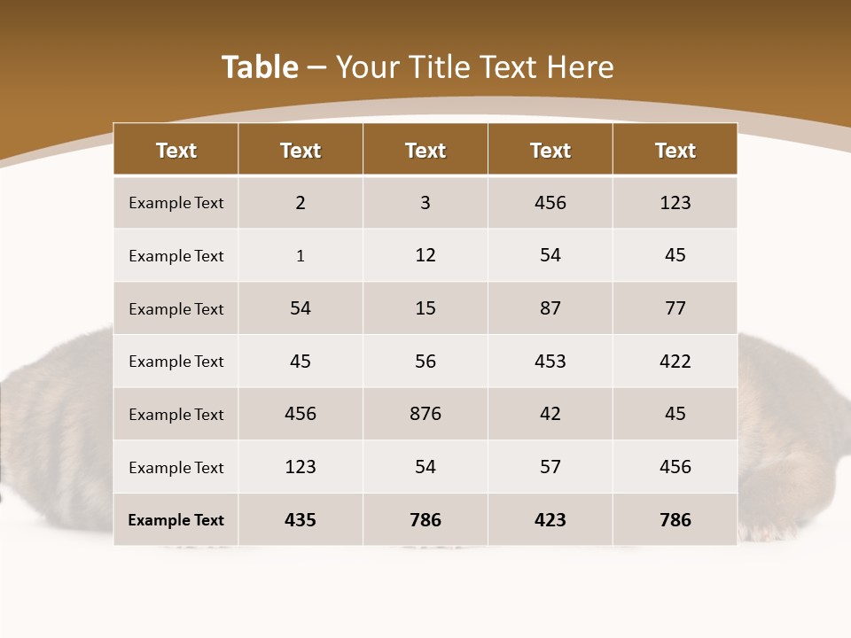 Big Fur Cat PowerPoint Template