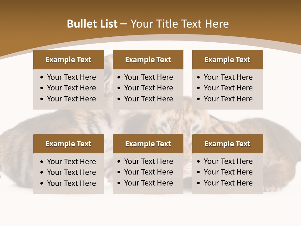 Big Fur Cat PowerPoint Template