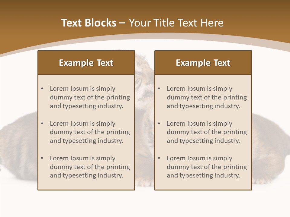 Big Fur Cat PowerPoint Template